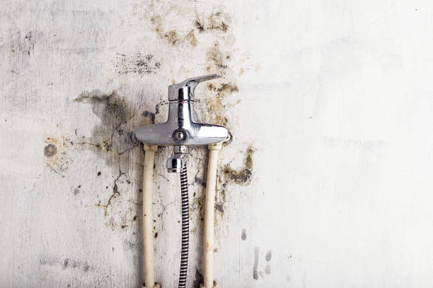 Best Mold Testing and Inspection Services in Preston, TX