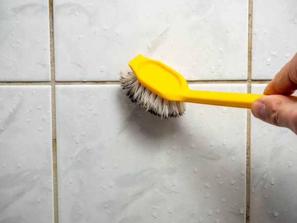 Reliable Preston, TX Mold Remediation Solutions