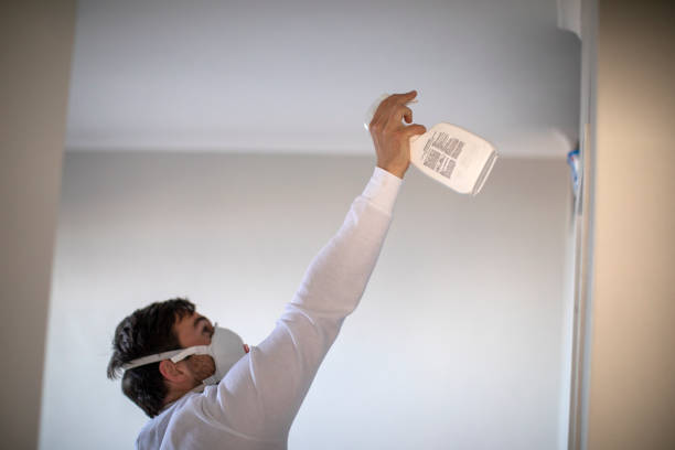 Best Preventive Mold Services in Preston, TX